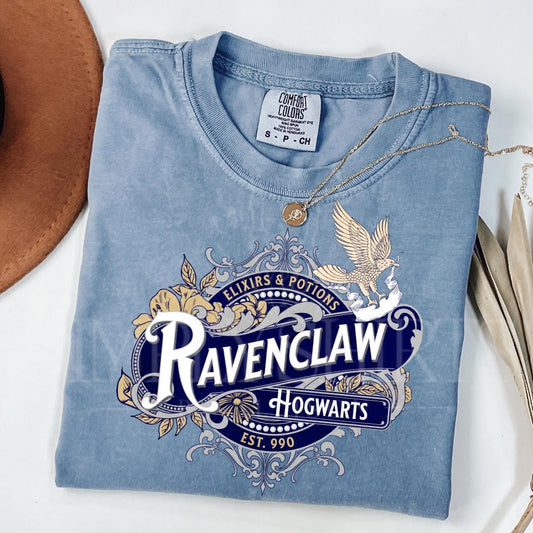 Ravenclaw House Wizard